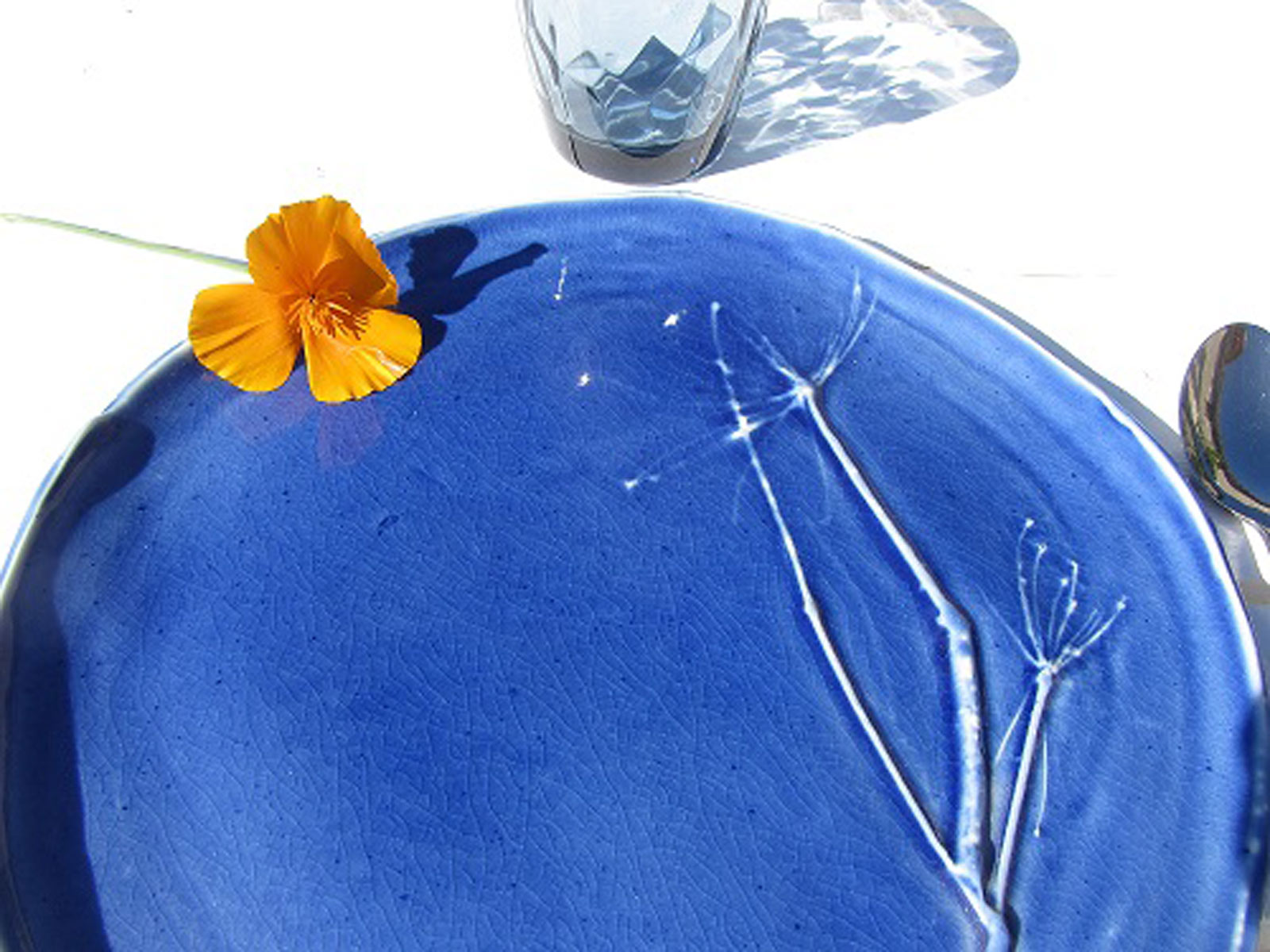 Collection bleu cobalt : Assiette tige fenouil
